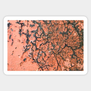 Old cracked painted texture Sticker